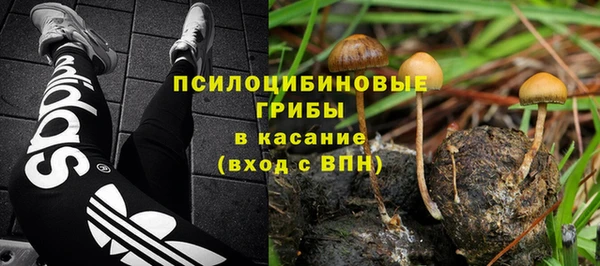 спиды Алексин