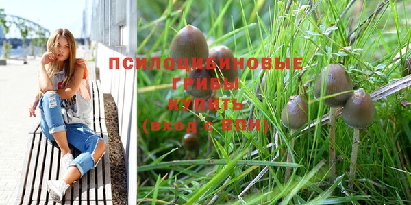 хмурый Алексеевка