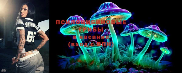 хмурый Алексеевка
